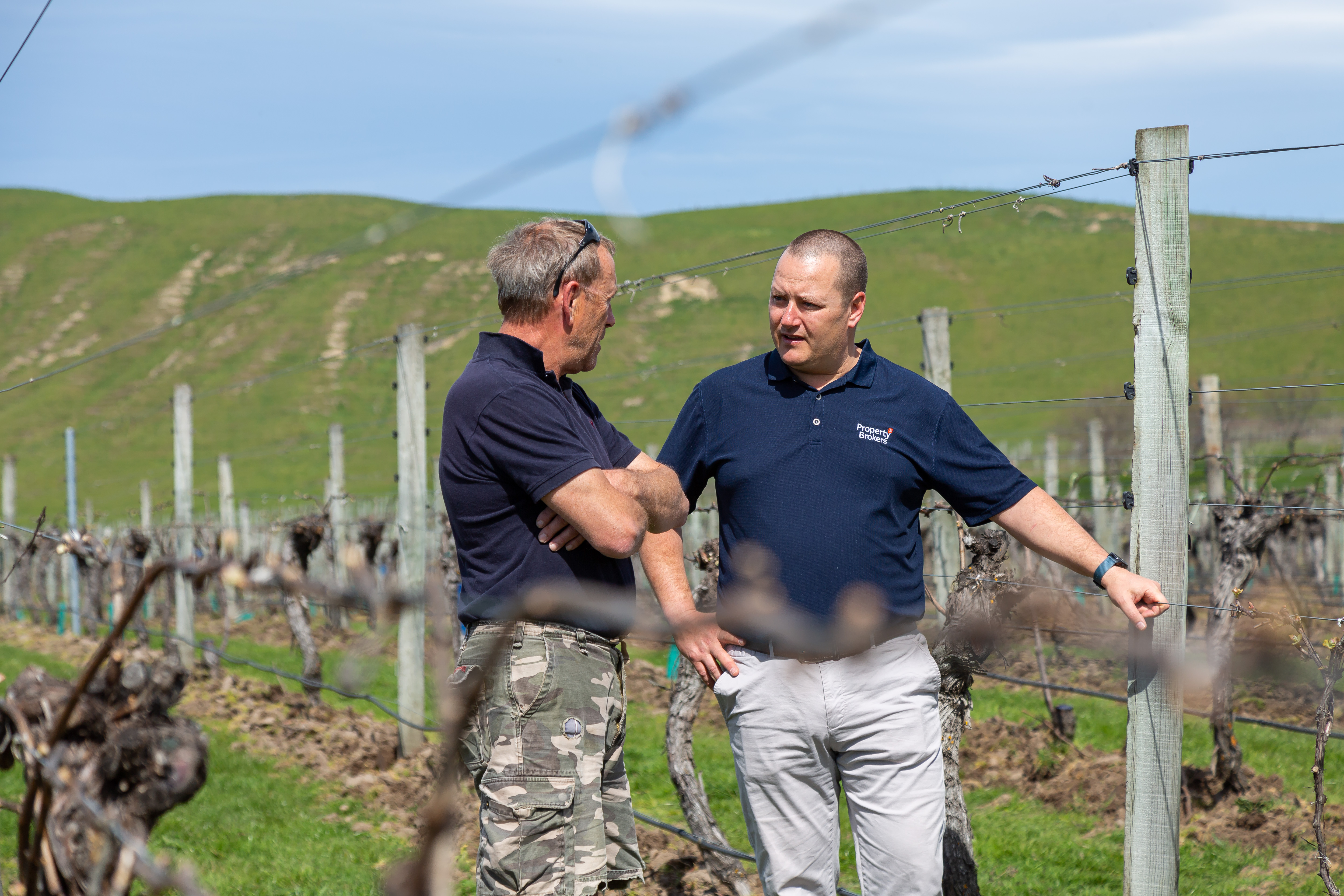 Viticulture