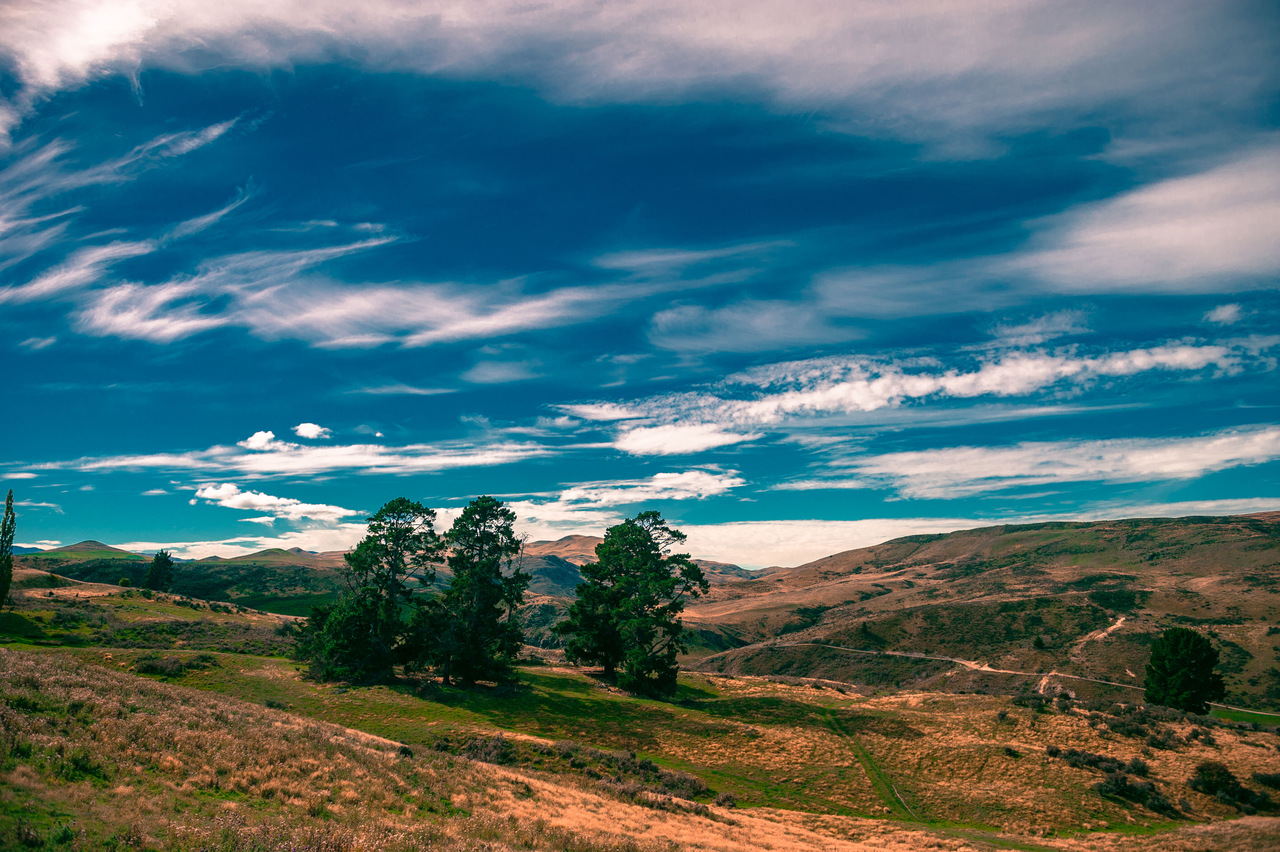 Ranfurly
