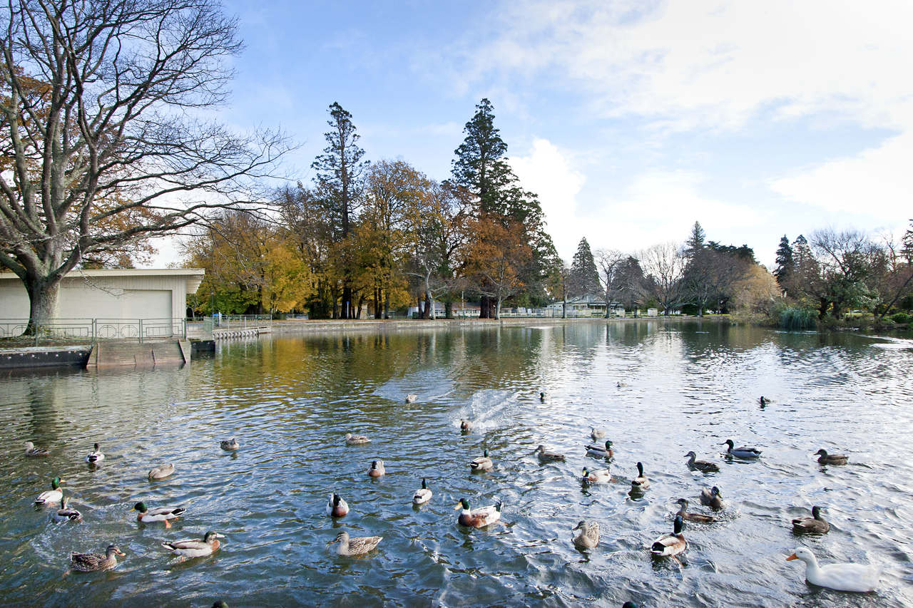 Masterton